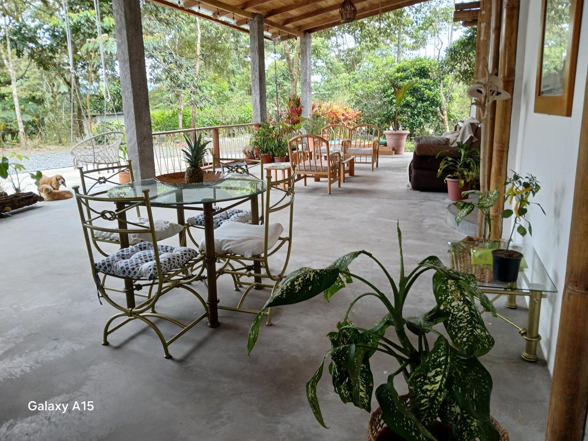 Vera Fevu Forest House Puyo Exterior foto