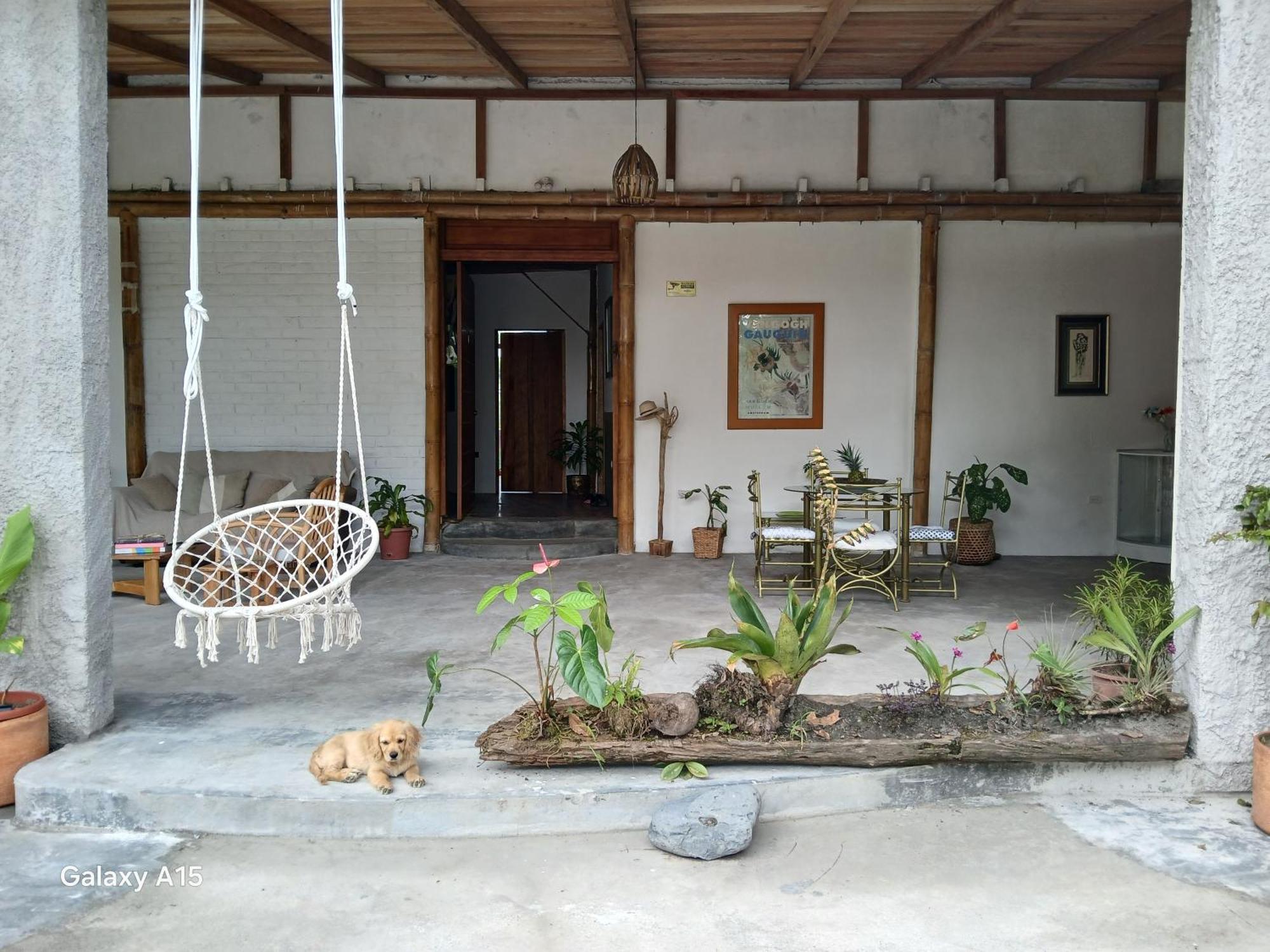 Vera Fevu Forest House Puyo Exterior foto